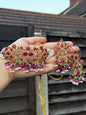 Naaz - Choker with earrings and tikka | available in 50 colours | Pakistani jewellery