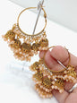Bali jhumke | colours available